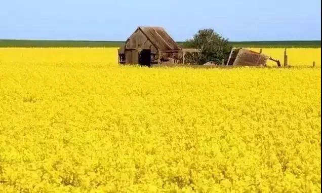 1-1Q031101I2X3 1-1Q031101I2X3