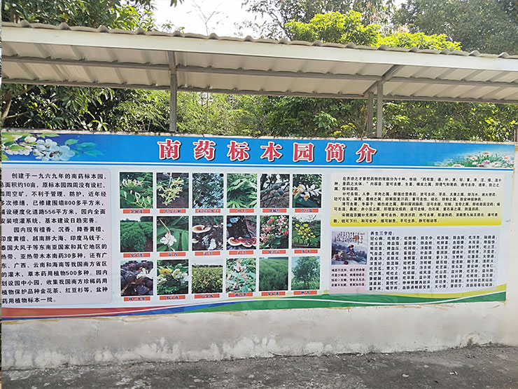 1-1Z21Q10J5128 龙8头等玩家(国际)官方网站