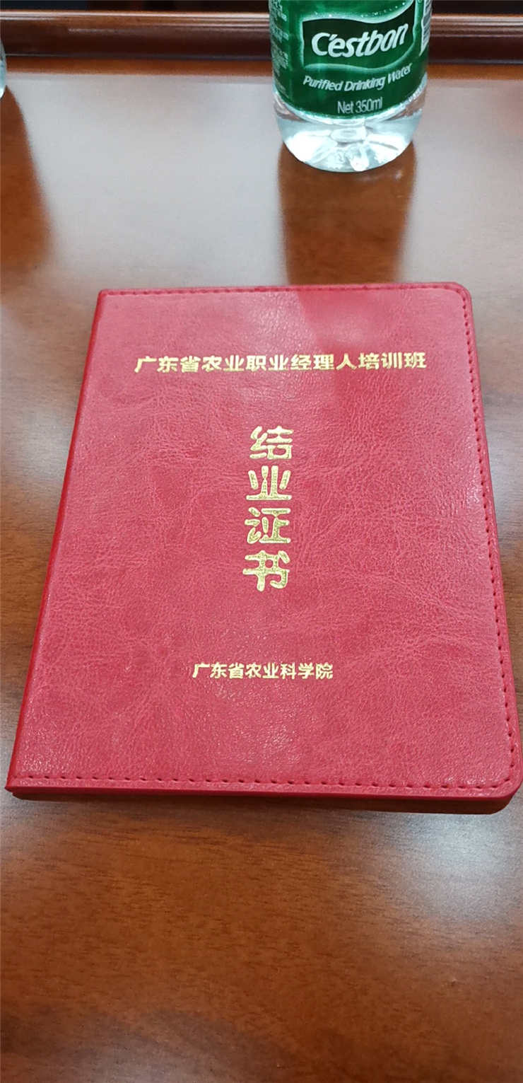 1-1Z419161613R5 龙8头等玩家(国际)官方网站