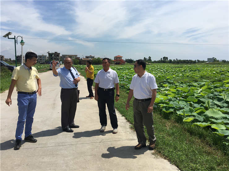 1-1Z62P92Q0446 龙8头等玩家(国际)官方网站