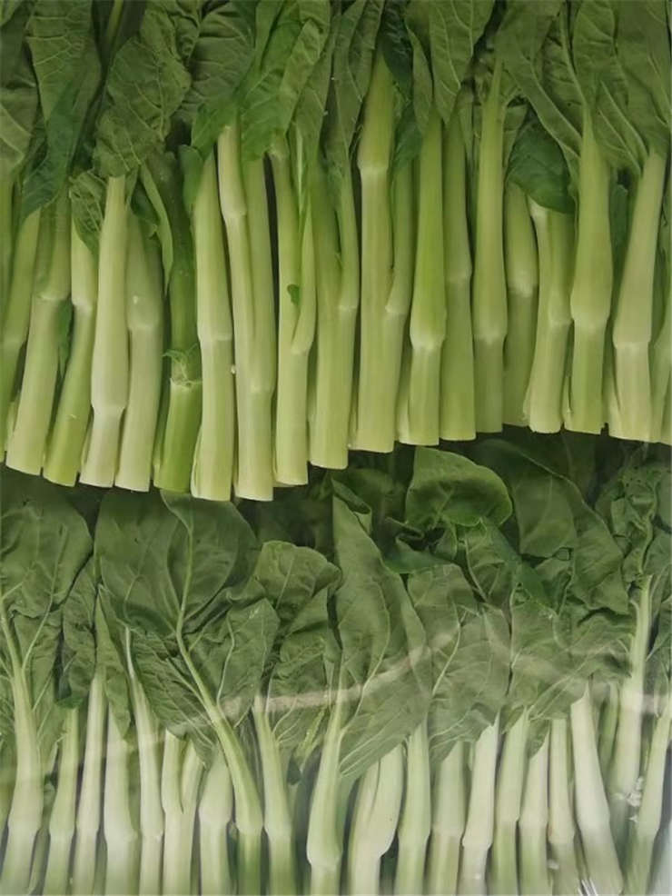 ��8ͷ�����(����)�ٷ���վ