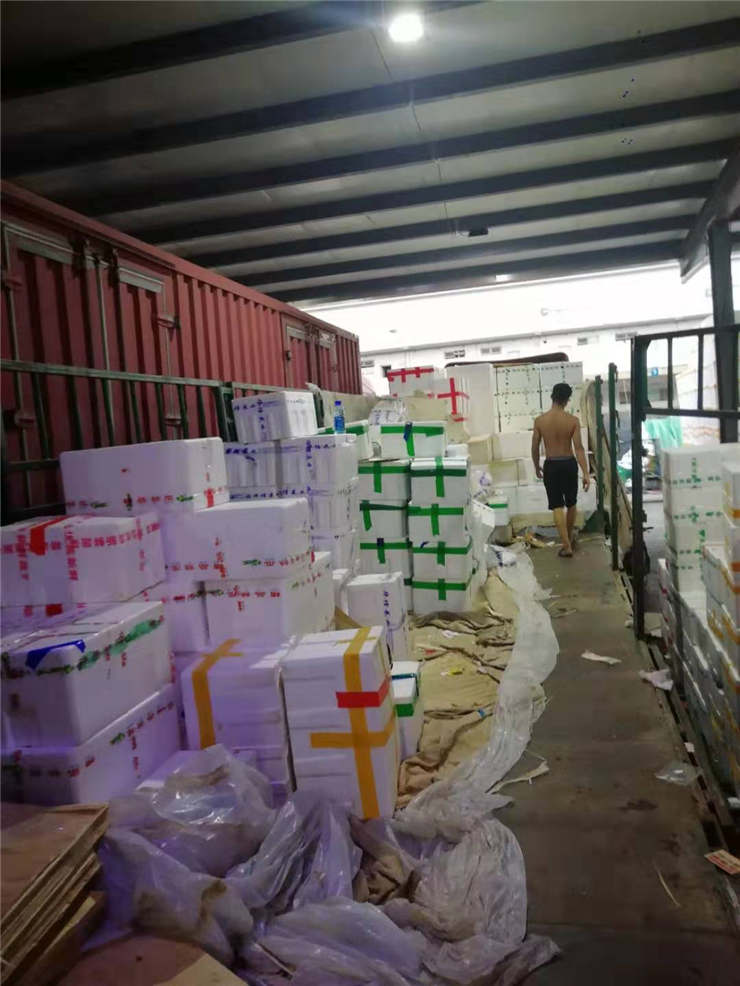 ��8ͷ�����(����)�ٷ���վ