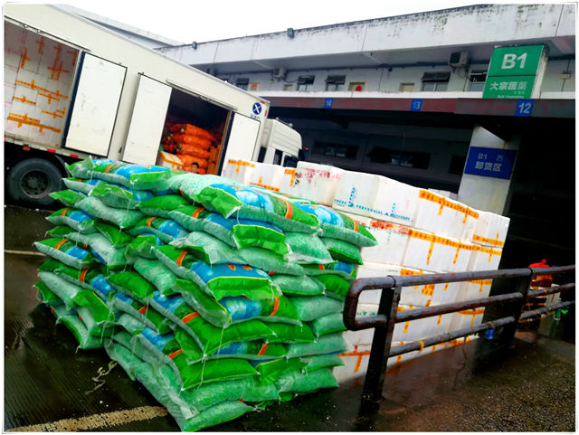 ��8ͷ�����(����)�ٷ���վ