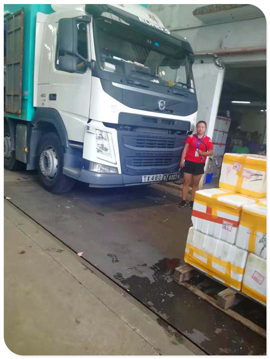 ��8ͷ�����(����)�ٷ���վ