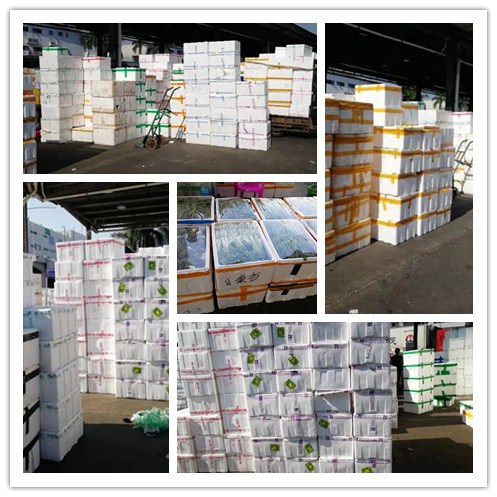 ��8ͷ�����(����)�ٷ���վ