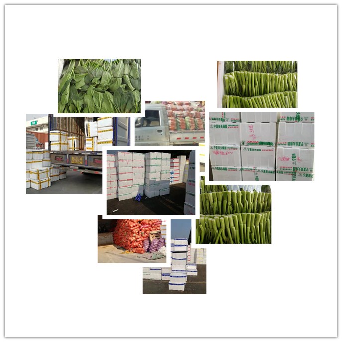 ��8ͷ�����(����)�ٷ���վ