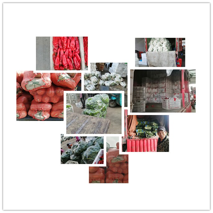 ��8ͷ�����(����)�ٷ���վ