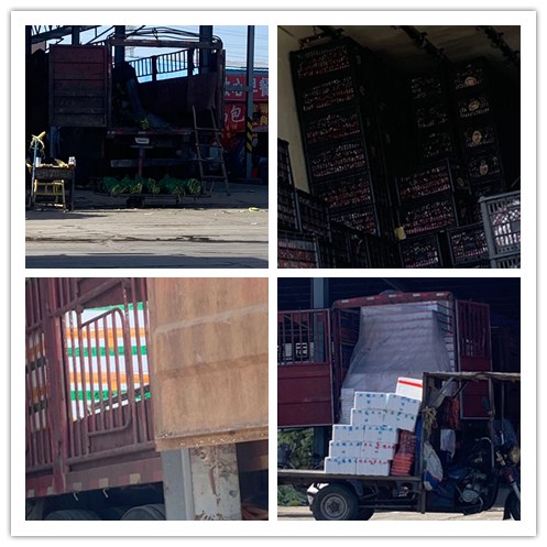 ��8ͷ�����(����)�ٷ���վ