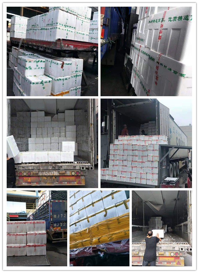 ��8ͷ�����(����)�ٷ���վ