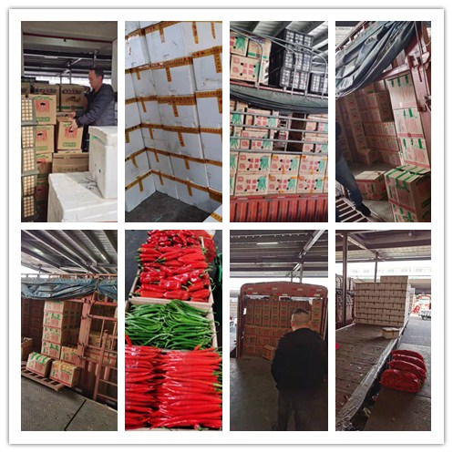 ��8ͷ�����(����)�ٷ���վ