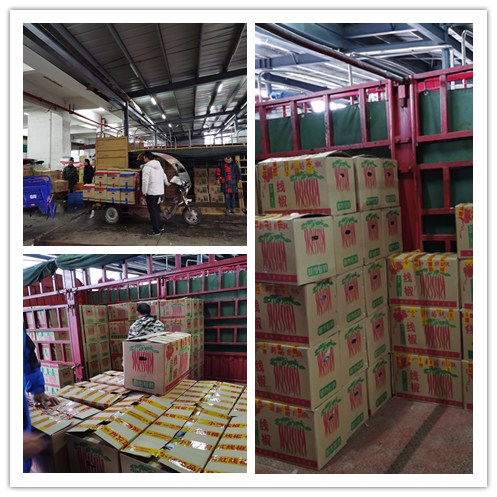 ��8ͷ�����(����)�ٷ���վ