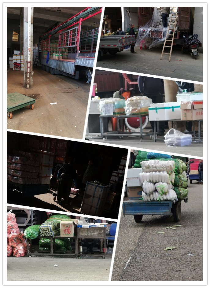 ��8ͷ�����(����)�ٷ���վ