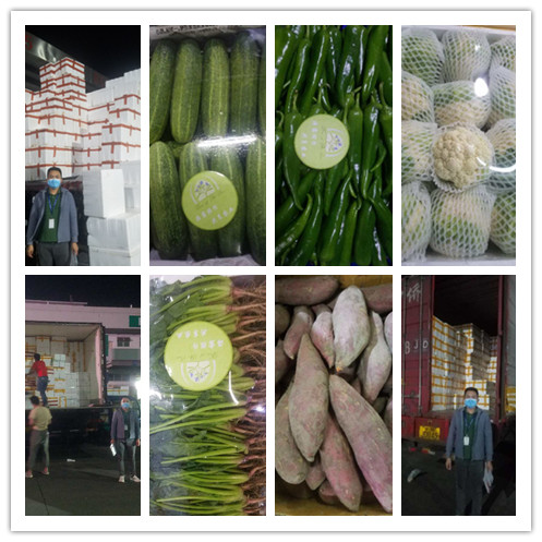 ��8ͷ�����(����)�ٷ���վ