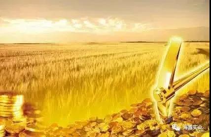 1-21022511024b94 图片