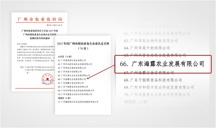 1-23120GS941164 龙8头等玩家(国际)官方网站