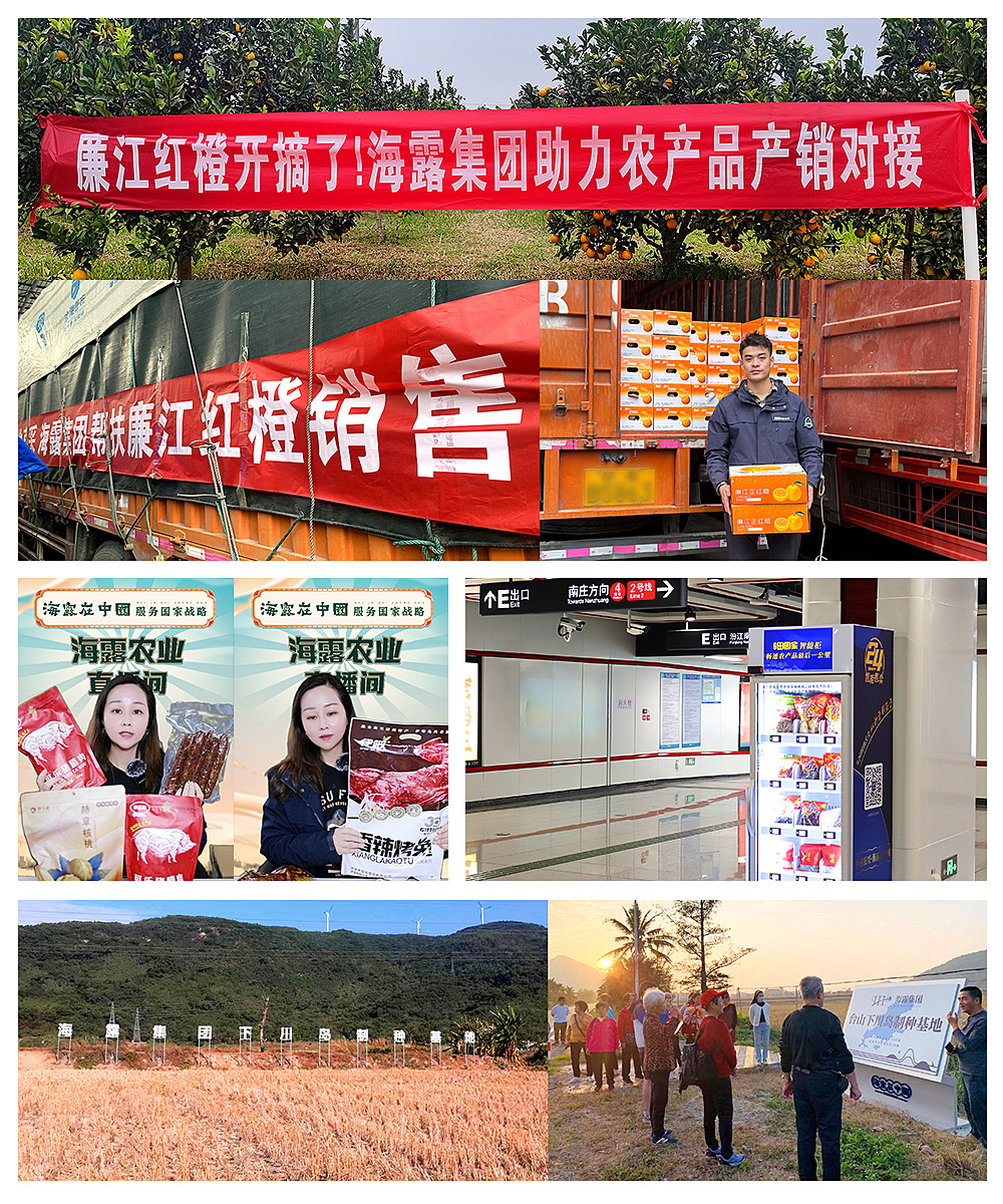 1-2401031QG3L6 龙8头等玩家(国际)官方网站