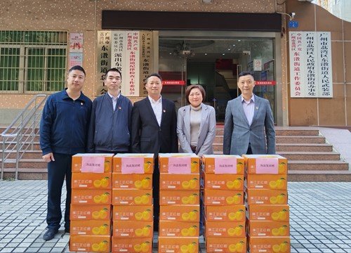 �ᶨ�����������������ٷ�չ