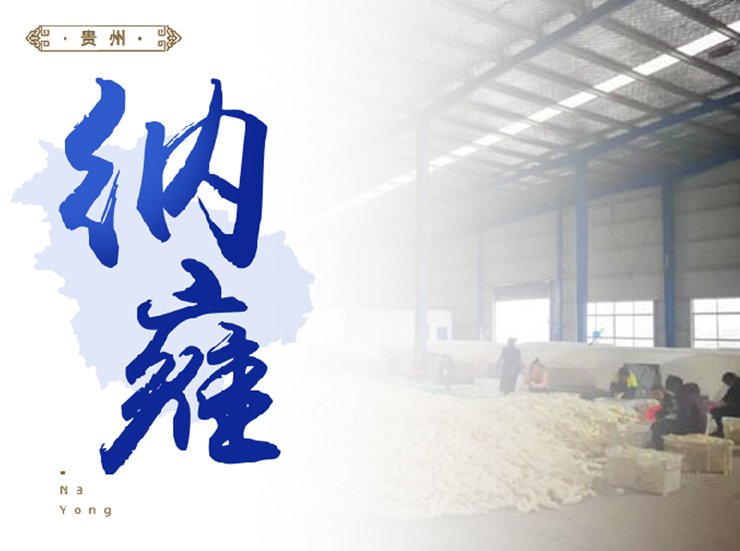 ��8ͷ�����(����)�ٷ���վ