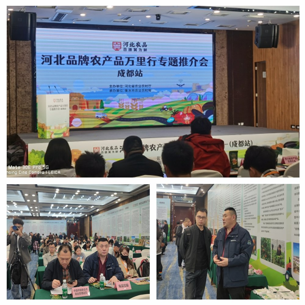 1-24102416292DM 龙8头等玩家(国际)官方网站