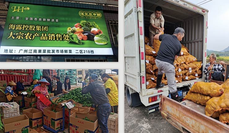 ��8ͷ�����(����)�ٷ���վ