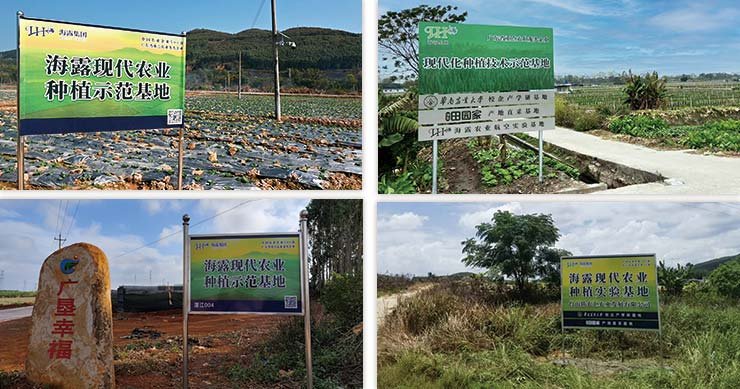 ��8ͷ�����(����)�ٷ���վ